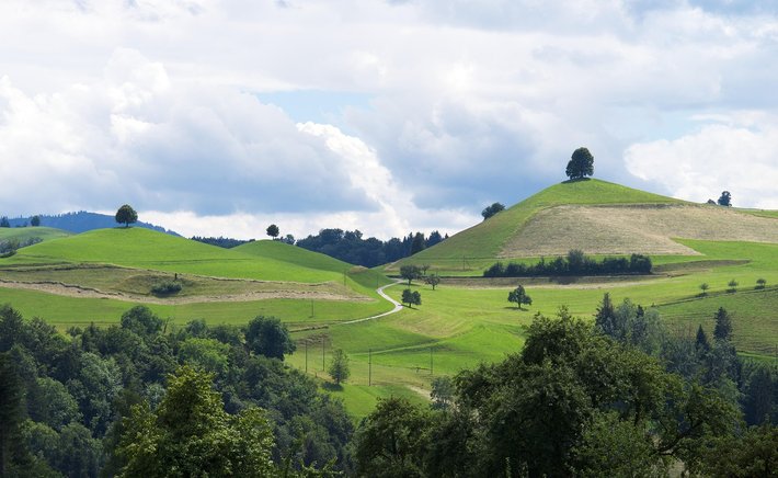 Drumlins 101: How Ice Sheets Sculpted the Rolling Hills of the North